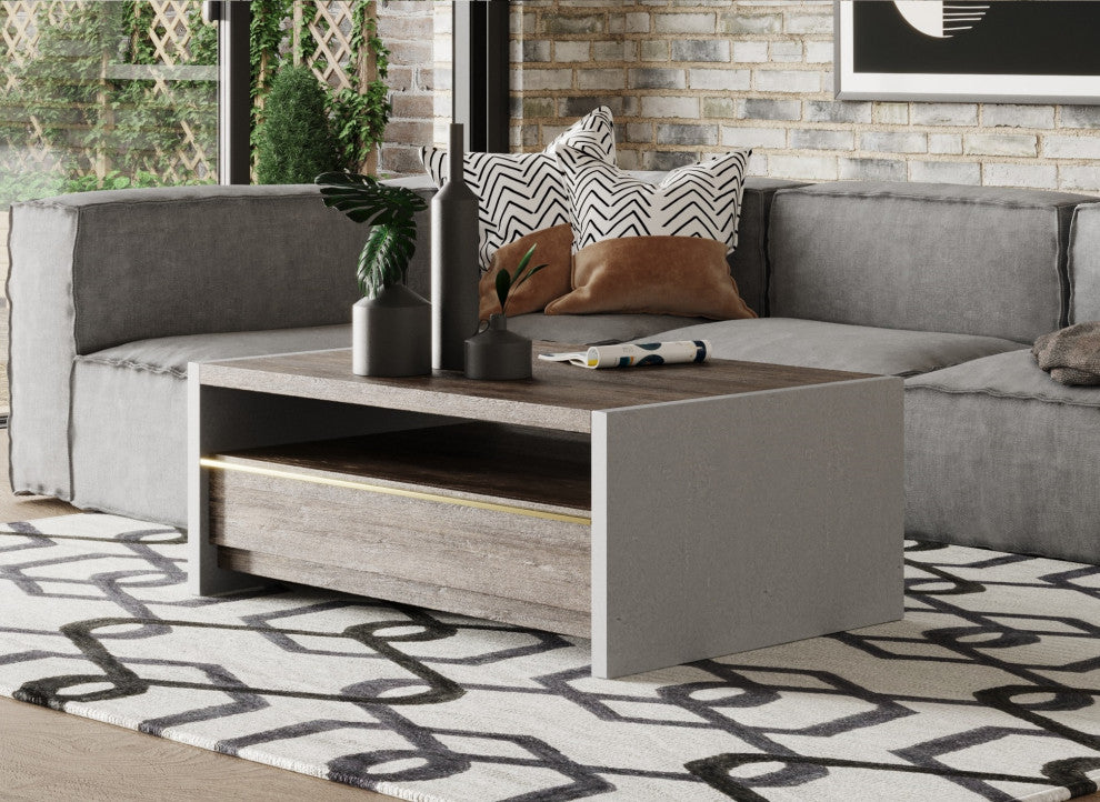 Modrest Melbost Modern Dark Gray Concrete and Walnut Coffee Table