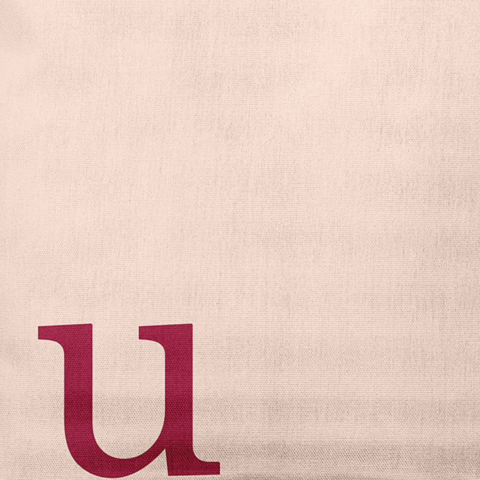 20" x 20" Modern Monogram Indoor/Outdoor Polyester Throw Pillow, Cranberry