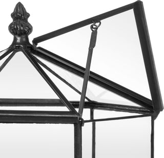 Six Sided Glass Terrarium, Wardian Case Plant Container