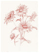"Farm Nostalgia Flowers I" Digital Paper Print by Danhui Nai, 26"x34"