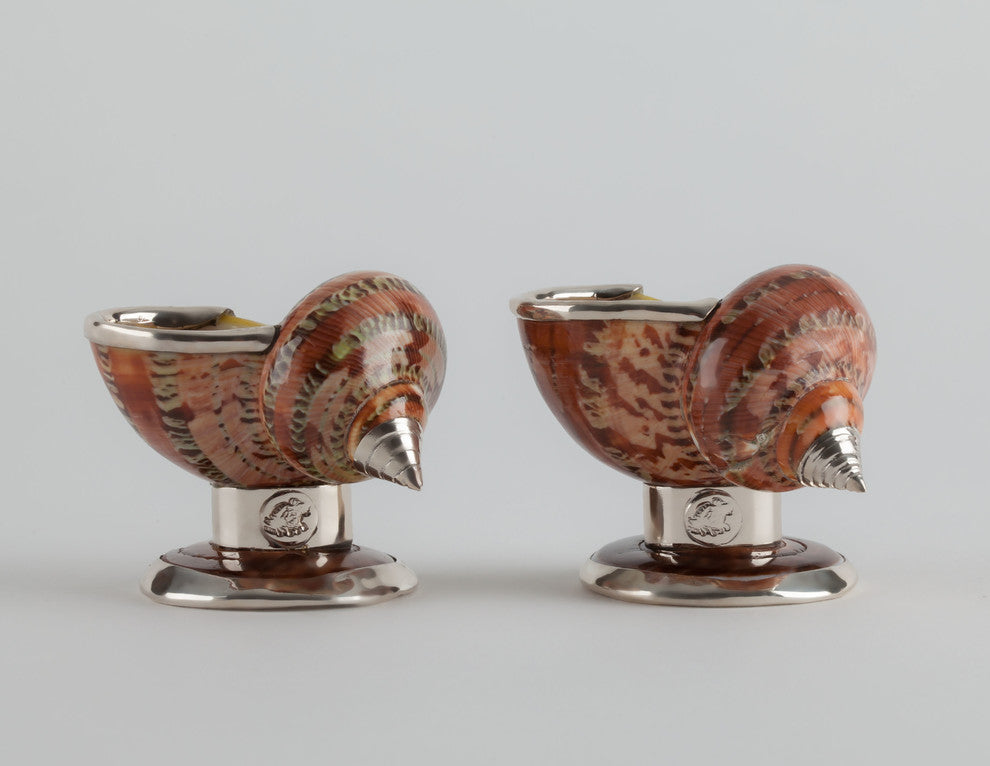 Turban Shell Salt Cellar with Sterling Silver, Set of 2
