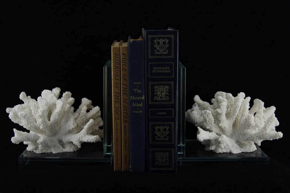 2-Piece White Coral On Glass Coastal Bookend Set