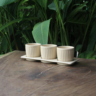 Gerbera Planter Set with Tray, Cream