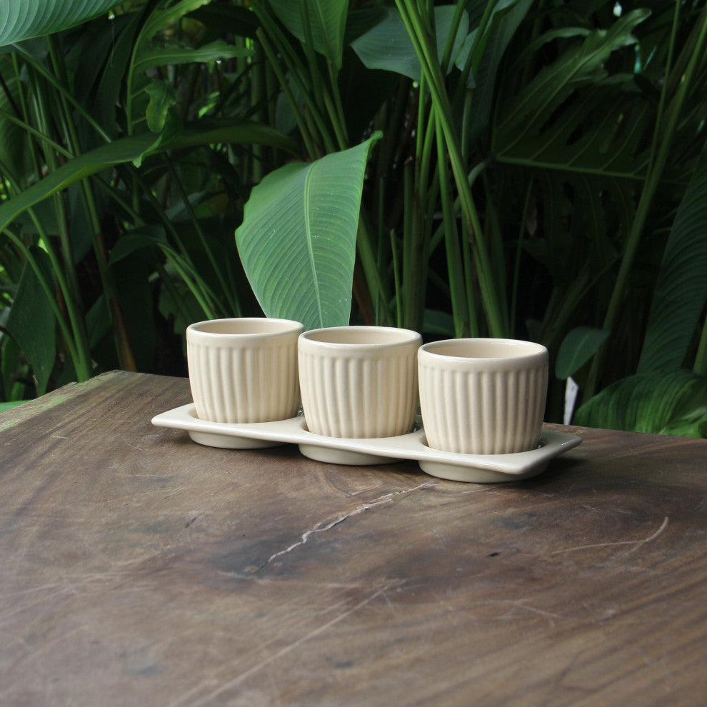 Gerbera Planter Set with Tray, Cream