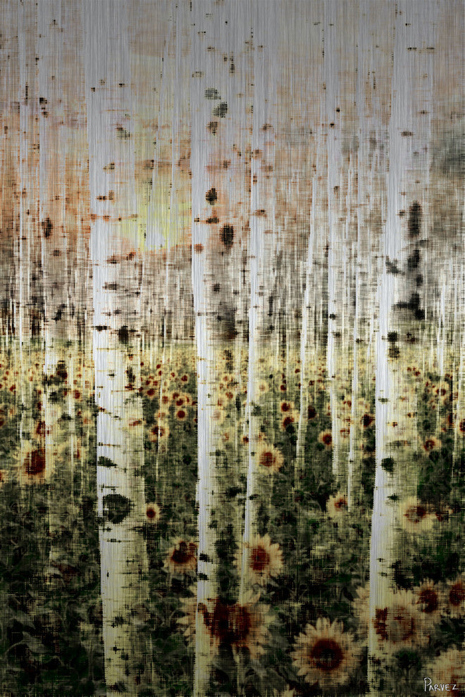 "Daisy Forest" UV Ink Print on Brushed  Aluminum, 40"x60"