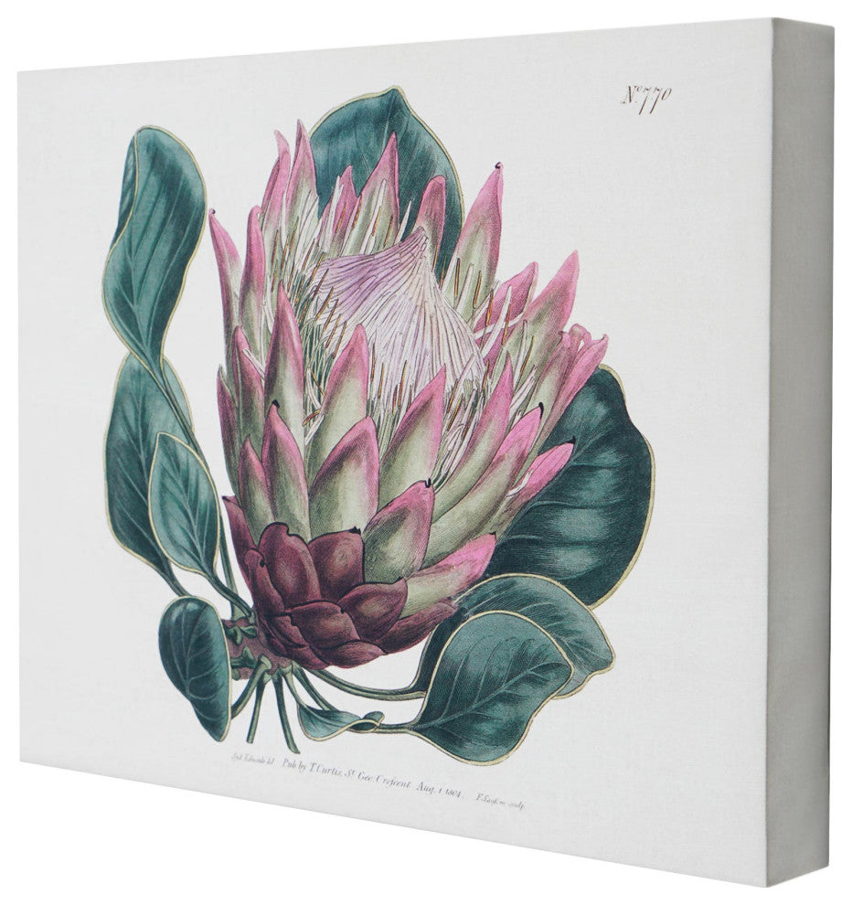 American Art Decor Dragon Leaf Flower Floral Canvas Wall Art Print - 12"x16"