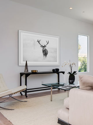 "Elk Stare" Framed Art Print, 91x61 cm