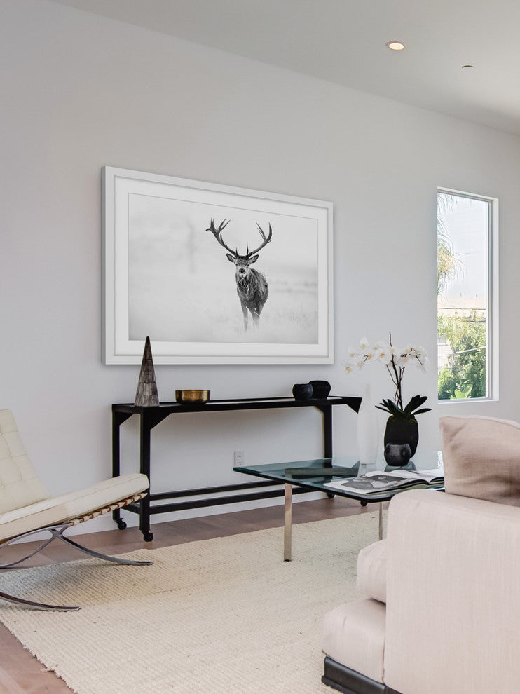 "Elk Stare" Framed Art Print, 91x61 cm