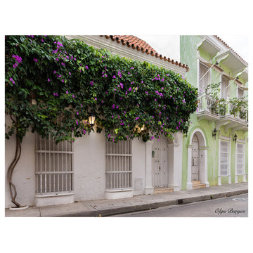 Indoor/Outdoor Wall Decor ''Provincial XIII'' in ArtPlexi, 16"x20"