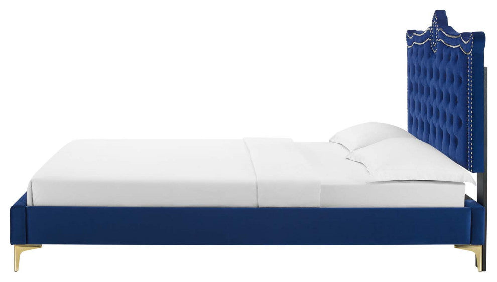 Platform Bed Frame, Nailhead, Queen Size, Blue Navy, Velvet, Modern