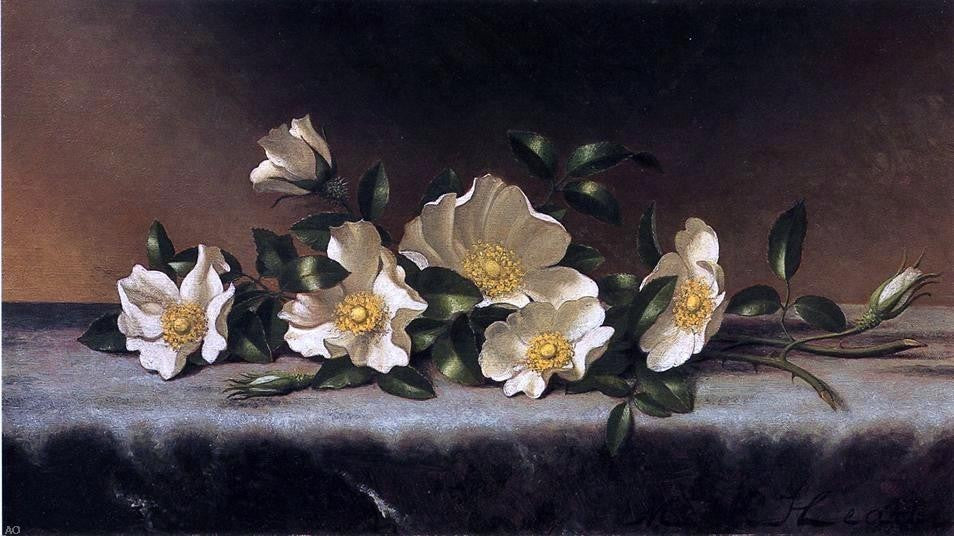 Martin Johnson Heade Cherokee Roses on a Light Gray Cloth Gallery Wrapped Canvas