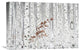 "From White" Stretched Canvas Giclee by Donghee Han, 22x15"