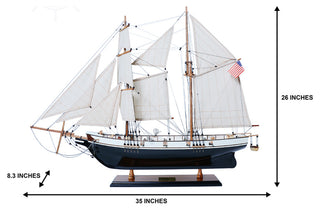 Harvey Painted Museum-quality Fully Assembled Wooden Model Ship