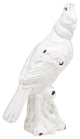 Cockatoo Ceramic Statue, Distressed White Finish