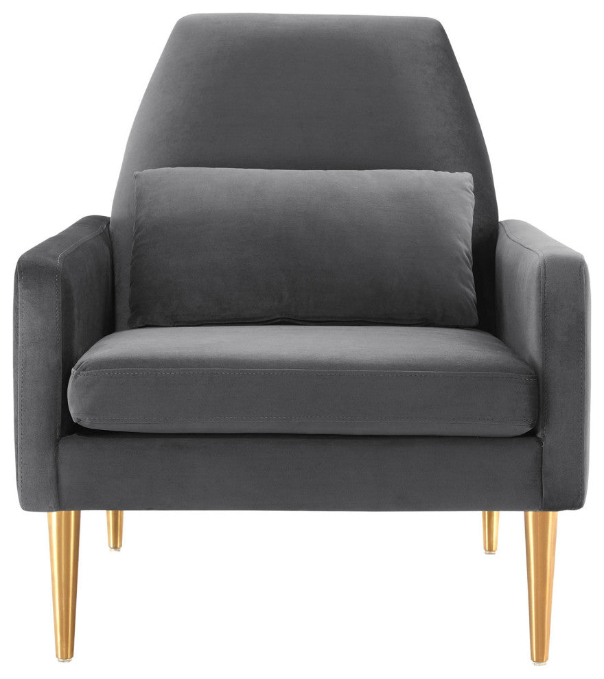 Armchair Accent Chair, Charcoal Gray, Velvet, Modern, Mid Century Lounge
