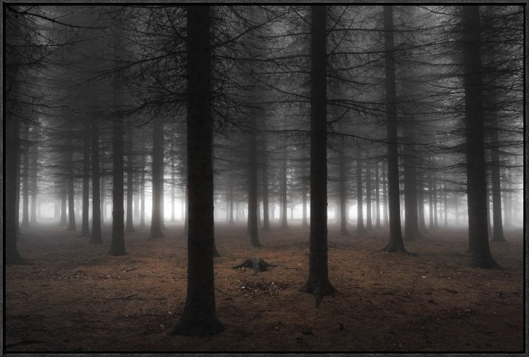 Silence, 36"x24"