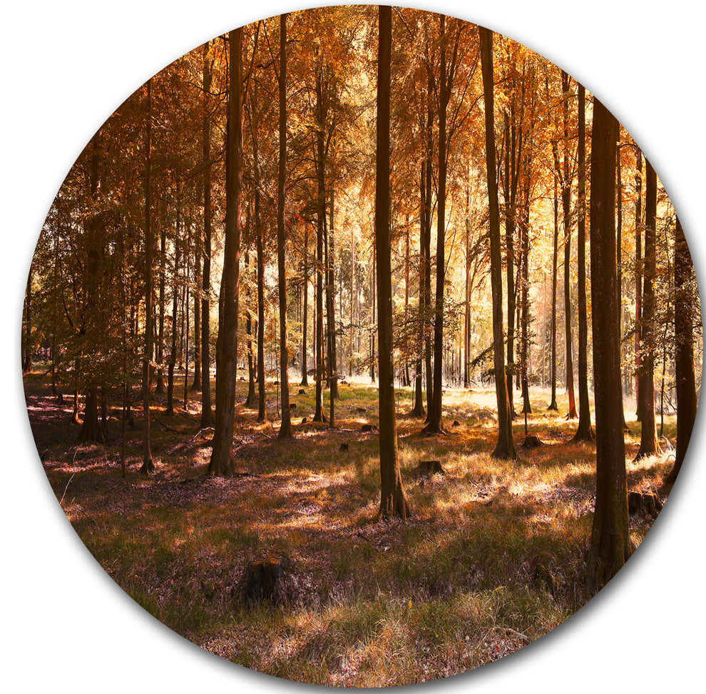 Thick Fall Forest With Orange Leaves, Photo Round Metal Wall Art, 11"