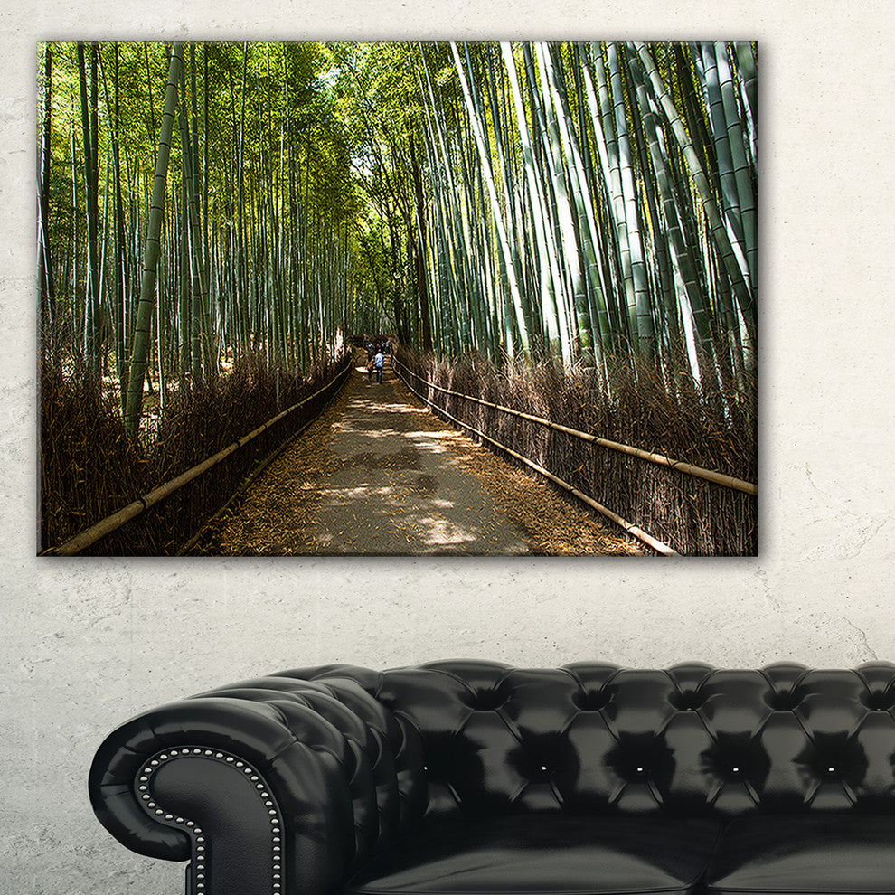 "Wide Pathway in Bamboo Forest" Forest Canvas Wall Art Print, 32"x16"