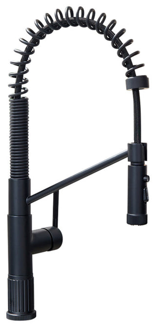 Nette Single-Handle Kitchen Faucet With Pull Down Sprayer, Matte Black