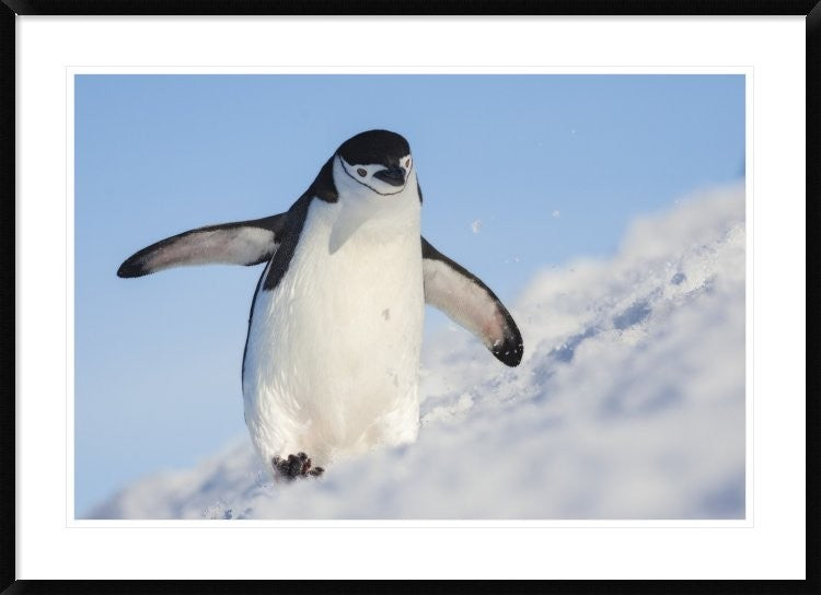 "Running Up That Hill" Framed Digital Print by Hillebrand Breuker, 44x32"