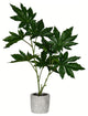 Vickerman FV197317 17" Artificial Green Potted Papaya