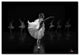 ''Ballerina II'' Canvas Art by Martha Guerra