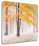 "Early Autumn Snow" By Jim Becia, Giclee Print on Gallery Wrap Canvas