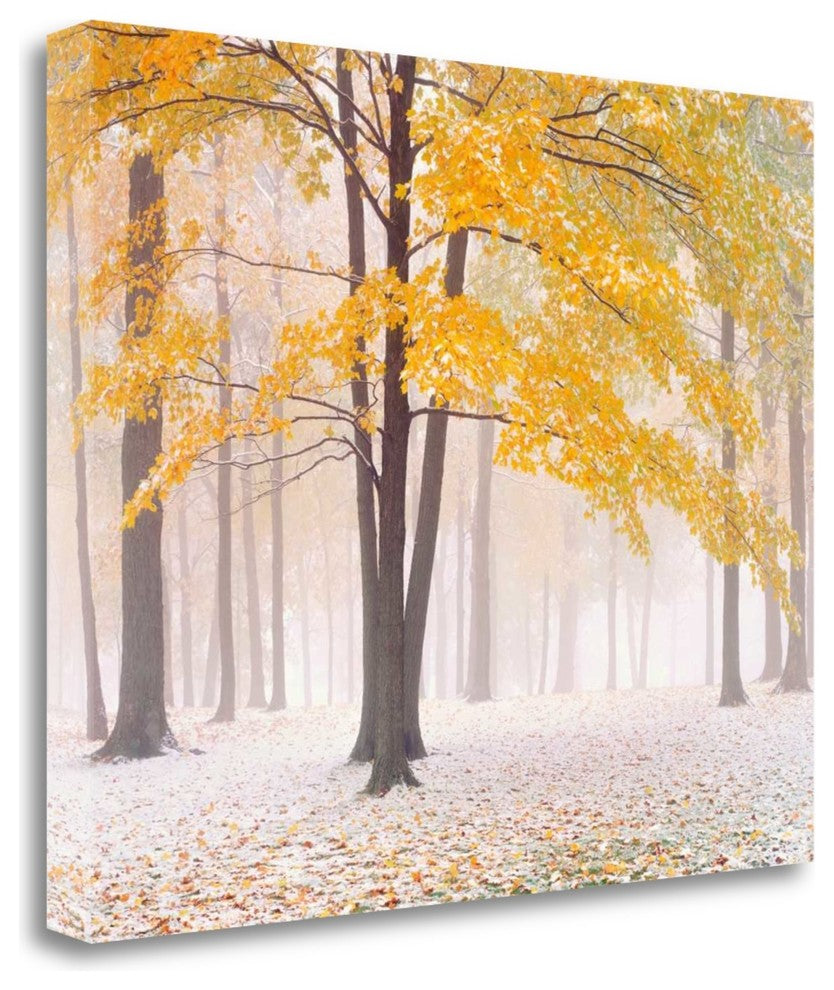 "Early Autumn Snow" By Jim Becia, Giclee Print on Gallery Wrap Canvas