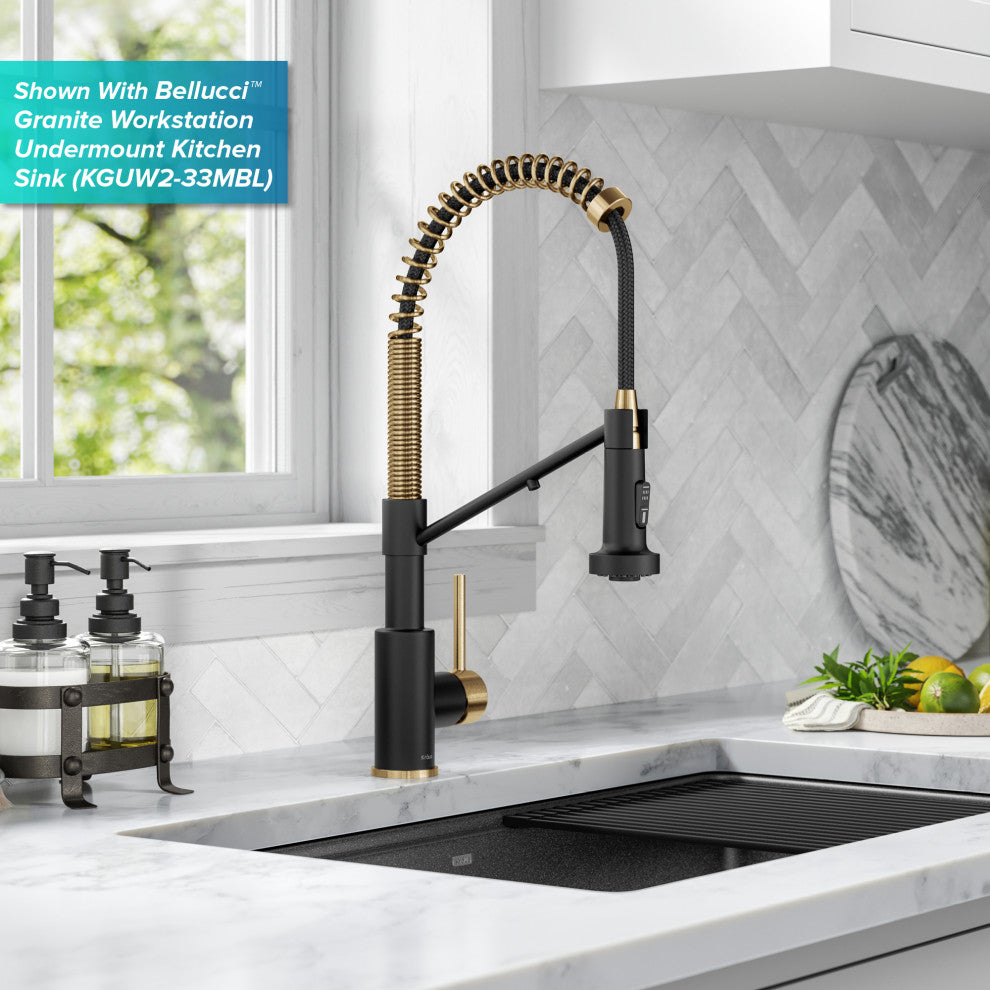 Bolden Commercial Style 2-Function Pull-Down 1-Handle 1-Hole Kitchen Faucet, Brushed Brass/ Matte Black (Filter Kitchen Faucet)