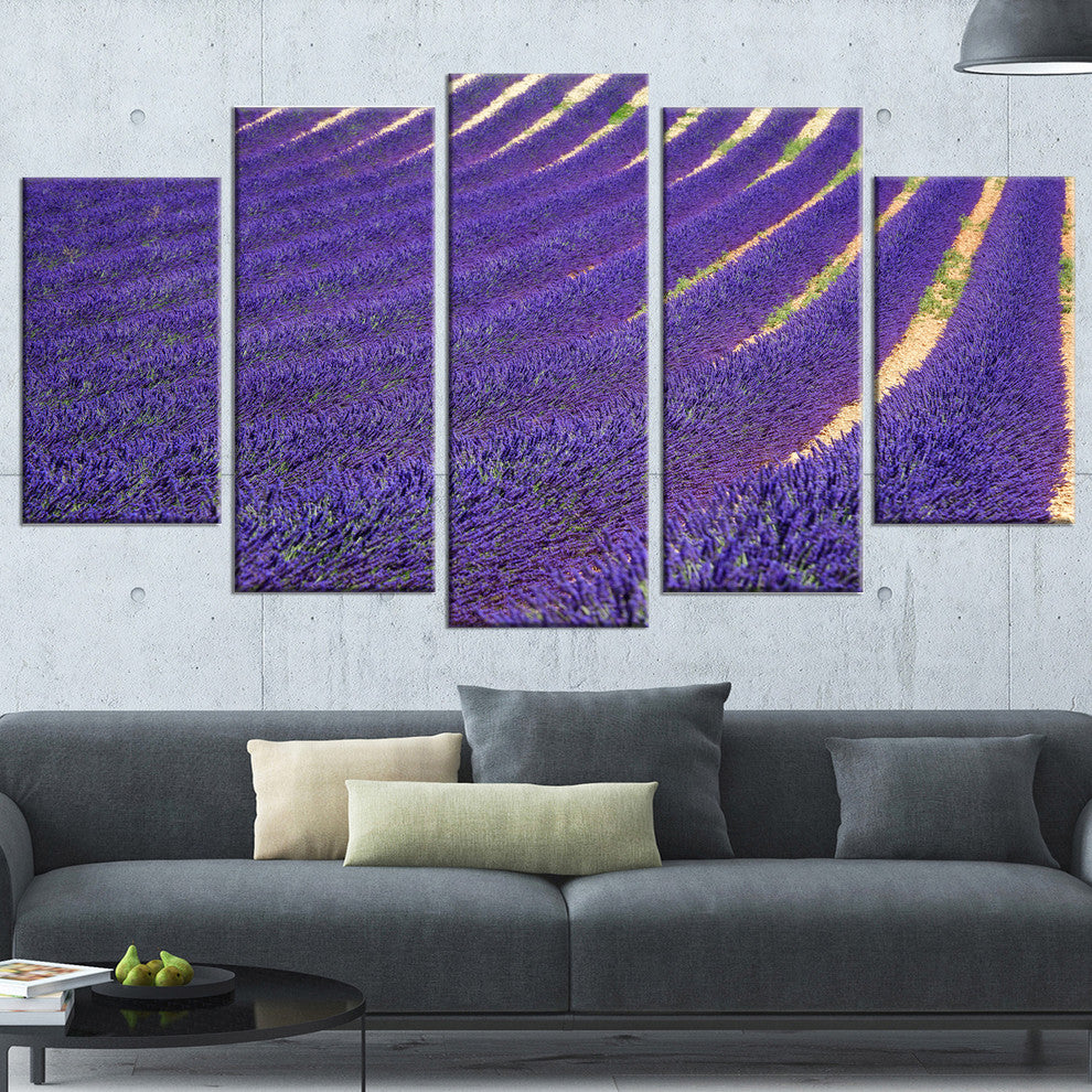 "Lavender Blooming Fields As Texture" Landscape Wall Art, 5 Panels, 60"x32"