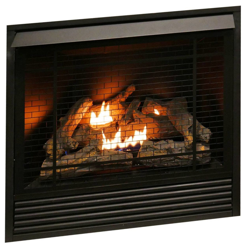 Duluth Forge Dual Fuel Ventless Fireplace Insert 32K BTU With Remote, FDI32R-A