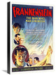 "Frankenstein" Stretched Canvas Giclee by Hollywood Photo Archive, 15x22"