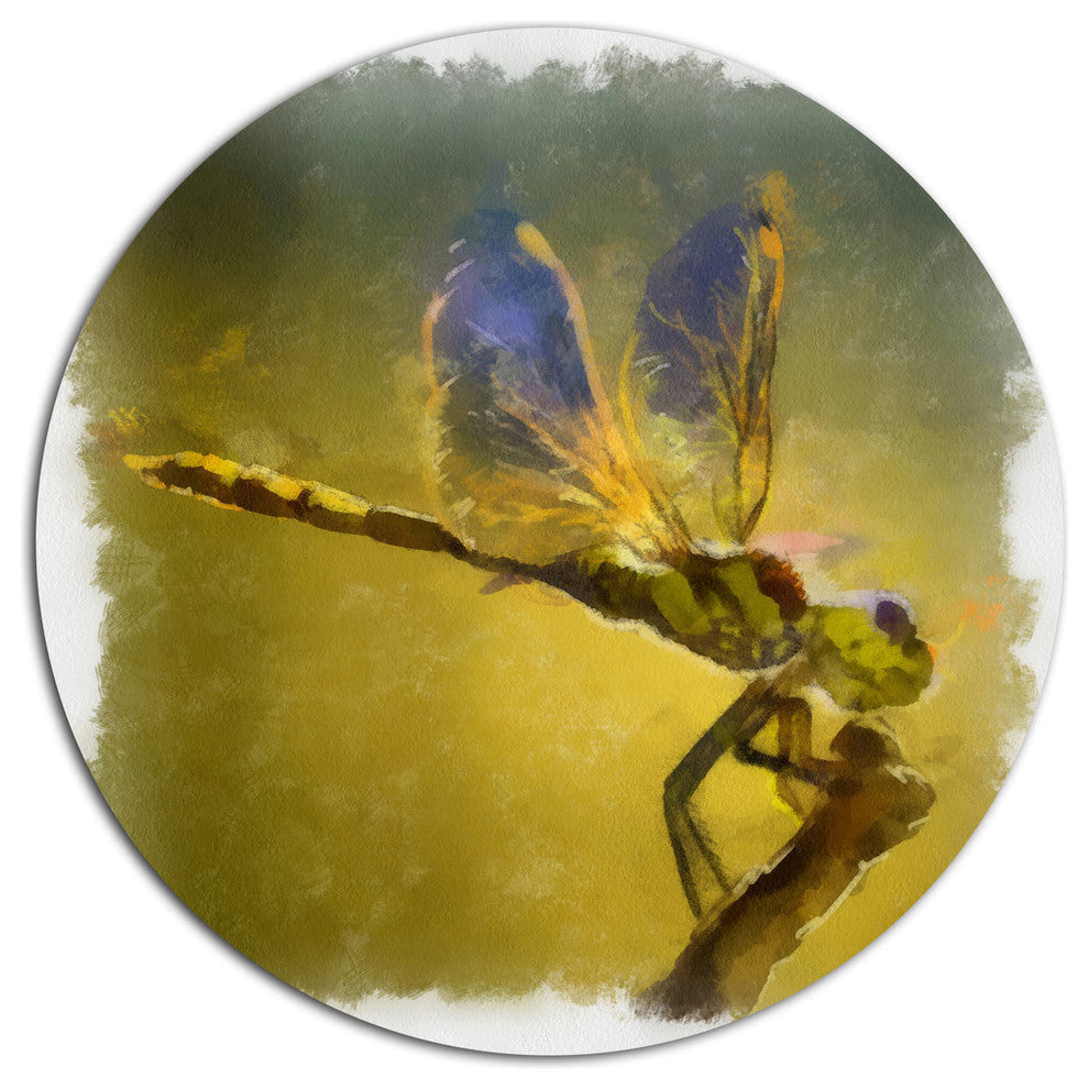 Dragon Fly Watercolor Illustration, Animal Disc Metal Wall Art, 23"