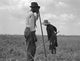 Cotton Sharecroppers - Gallery Wrapped Canvas Art 28" x 42"