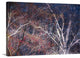 "Tracery II" Wrapped Canvas Art Print, 24"x16"x1.5"