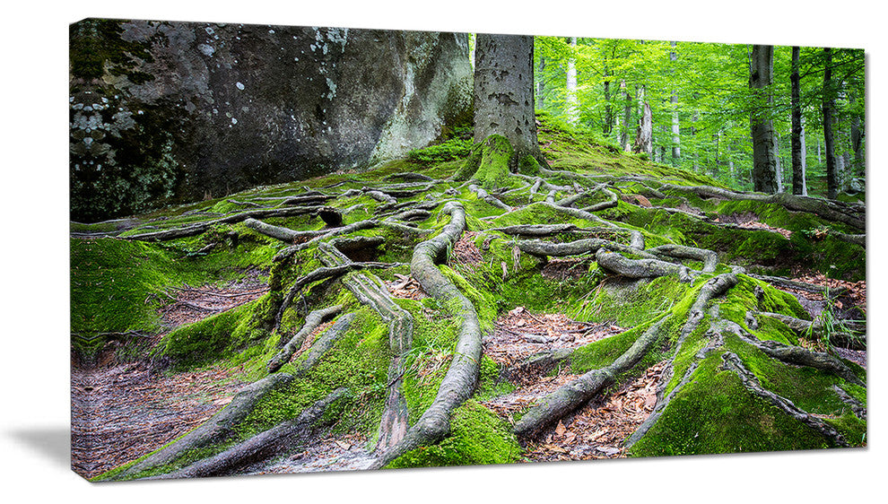 "Deep Moss Forest in Ukraine" Landscape Art Print Canvas, 32"x16"