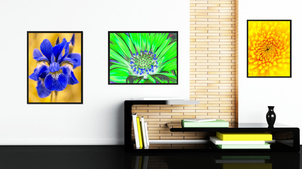 Green Gazania Flower Print on Canvas with Picture Frame, 22"x29"