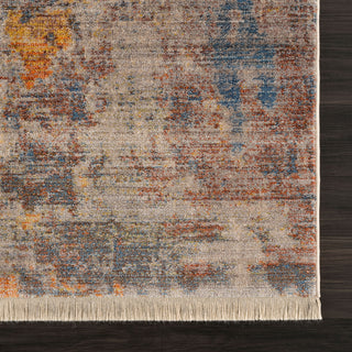 Distressed Desert Modern Area Rug, 7'9" X 10'