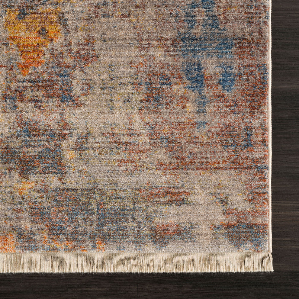 Distressed Desert Modern Area Rug, 7'9" X 10'