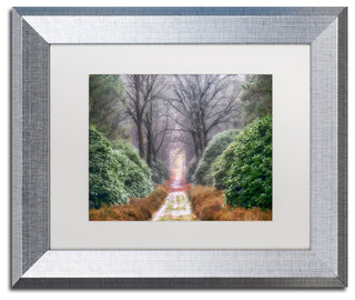 Cora Niele 'Rhododendron Lane' Matted Framed Art