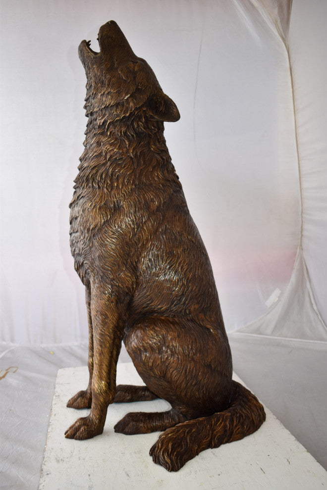 Howling Wolf looking toward the sky Bronze Statue Size: 19" x 19" x 36"H