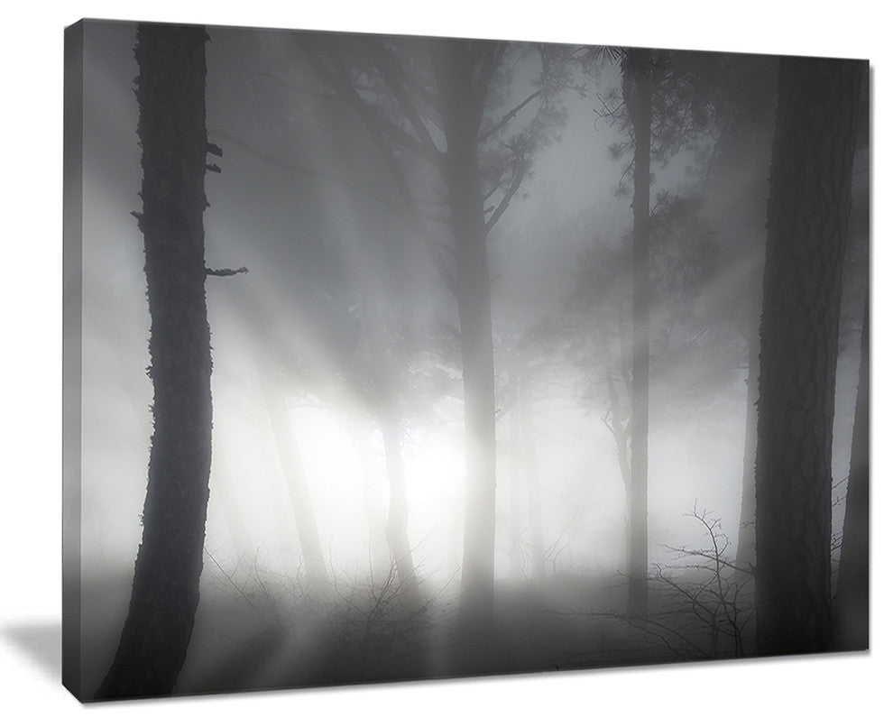 "Forest in Heavy Autumn Mist" Landscape Photo Wall Art, 20"x12"