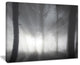 "Forest in Heavy Autumn Mist" Landscape Photo Wall Art, 20"x12"