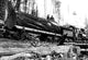 Transporting Fallen Old Growth - Canvas Poster 20" x 30"
