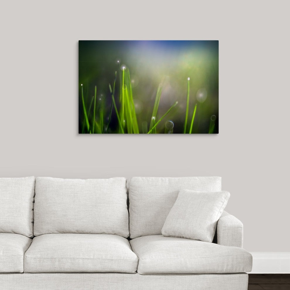 "Dew" Wrapped Canvas Art Print, 36"x24"x1.5"