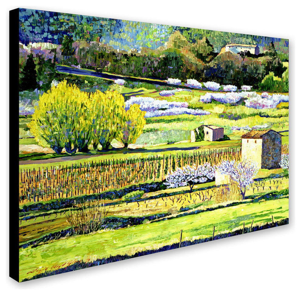 'Bordeaux Vineyards in Spring' Canvas Art by David Lloyd Glover