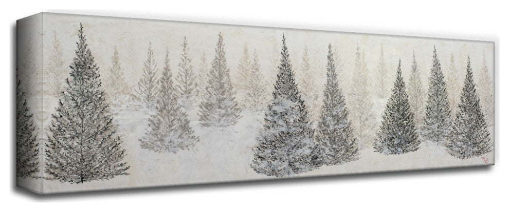 Monoscape XLVII Wrapped Canvas Wall Art by Karen Biery, 60"x20"