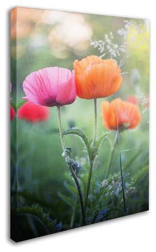 'Love Me Again' Canvas Art by Philippe Sainte-Laudy