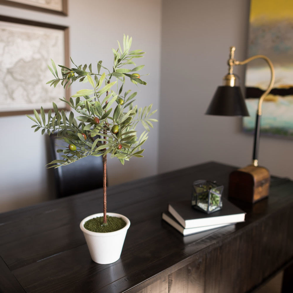 27" Olive Hill Tree W/ Container