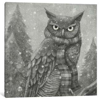 "Winter Owl Square" by Terry Fan, 12x12x1.5